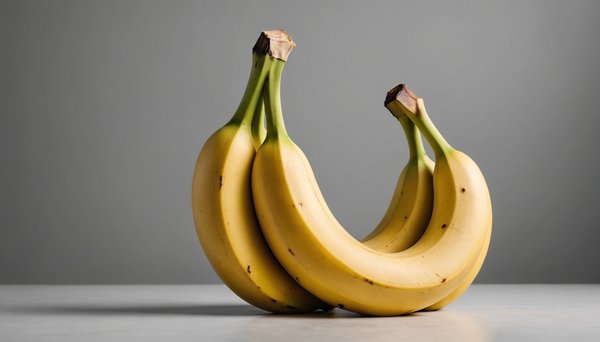 Sac banane : découvrez nos modèles tendance et variés !